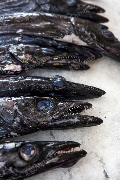 Preview: Espada fish on traditional fish market in Funchal at Madeira island, Portugal