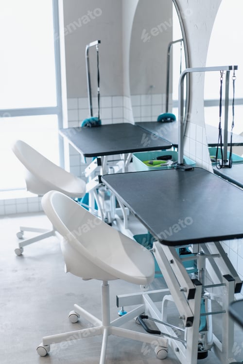 Preview: professional pet grooming table animals in the office grooming salon pet care