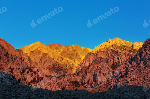 Preview: Sierra Nevada