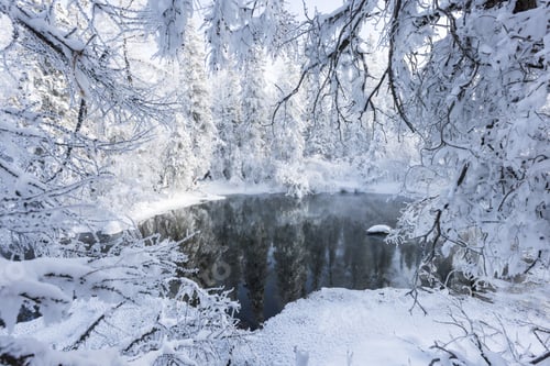 Preview: Colorful landscape with snowy trees, river with reflection in water in cold Snow covered trees,