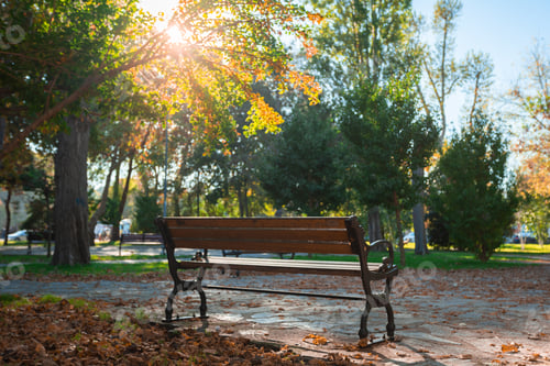 Preview: bench in autumn park