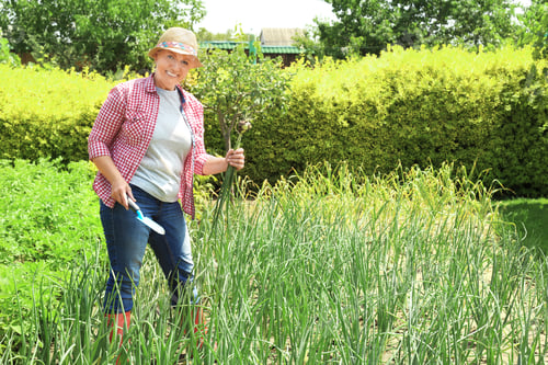 Preview: Woman working in garden on sunny day