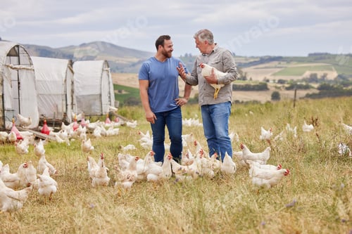 Preview: Shot of two men working together on a poultry farm