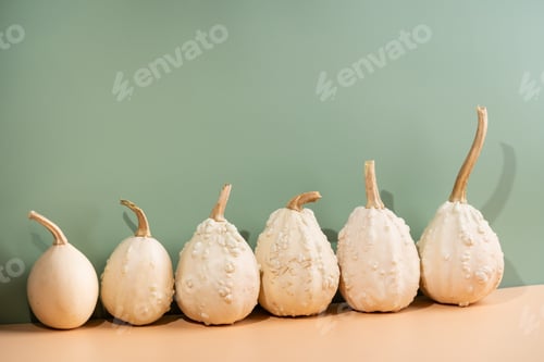 Preview: Decorative pumpkins on light orange