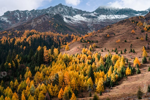 Preview: Beautiful autumn scenery landscape at Mount Siguniang national park in Sichuan, China