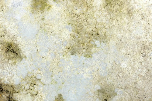 Preview: Vintage weathered concrete wall texture background