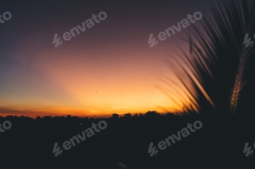 Preview: Breathtaking summertime