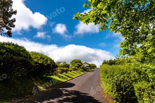 Preview: Landscape in Furnas, Sao Miguel island in the Azores