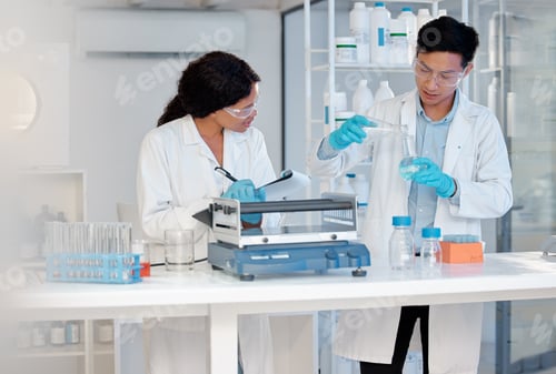 Preview: Make sure the measurements are correct