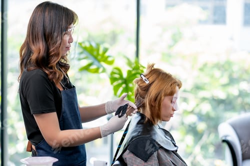Preview: Beauty salon barber woman process of dyed Caucasian woman hair in the shop
