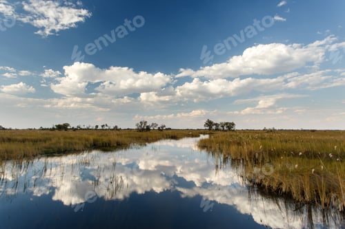 Preview: Okavango Delta, Africa