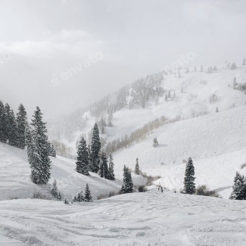 Preview: Snowy Mountain Vista with Evergreen Trees