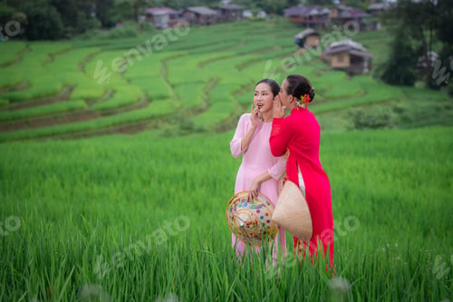 Preview: Happiness Vietnamese women wearing traditional dress with hat talking walk on green rice field harve