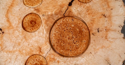 Preview: Texture of epoxy resin table