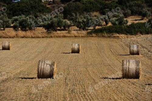 Preview: Straw bales on farmland with blue sky