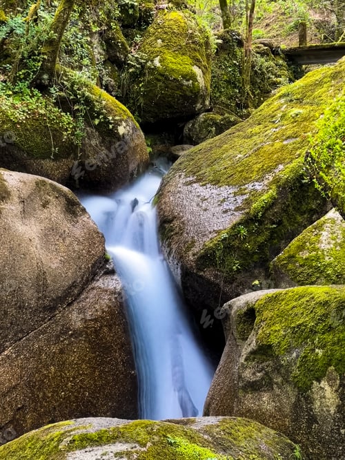 Preview: Long Exposure Small Waterfall Between Mossy Boulders in Levada dos Jugueiros