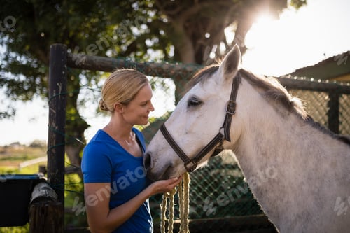 Preview: Smiling woman looking at horse at barn