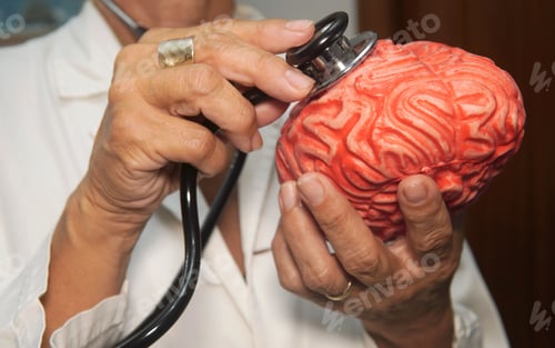 Preview: Female doctor puts the stethoscope on a rubber brain