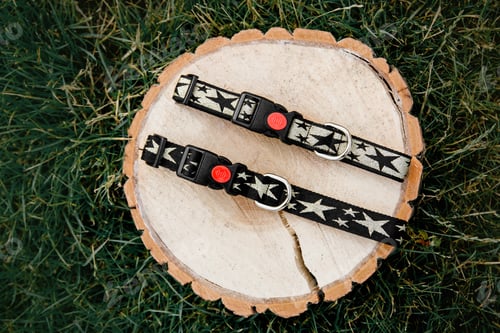 Preview: Dog Collar and Leash set. Pet Supplies and Walking Gear Collection