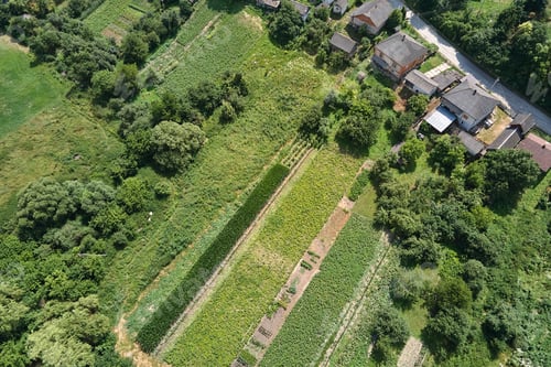 Preview: Aerial landscape view of green cultivated agricultural fields with growing crops
