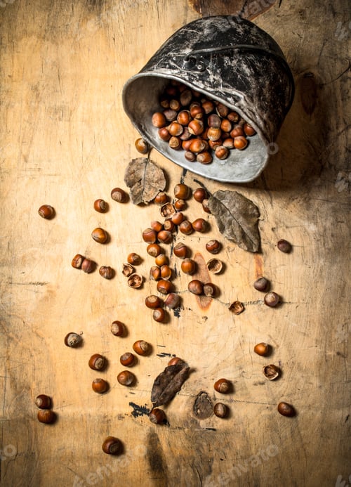 Preview: Hazelnuts in the old pot.