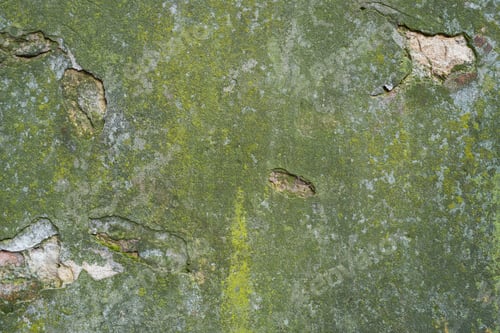 Preview: Wall with old plaster