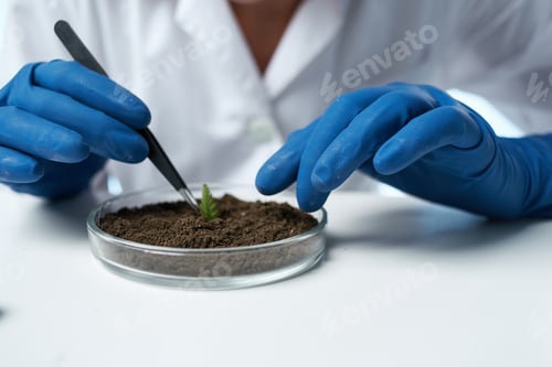 Preview: woman biologist technology research experiment agronomy