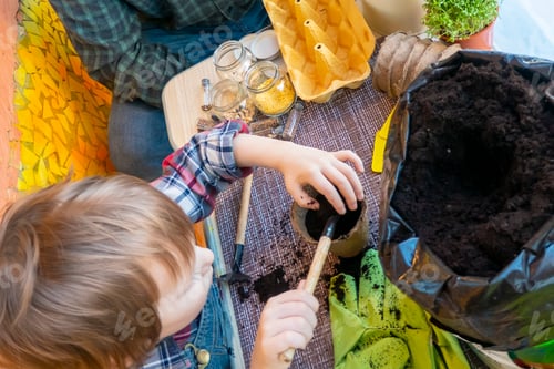 Preview: boy pours soil into a peat pot for seedlings. top view