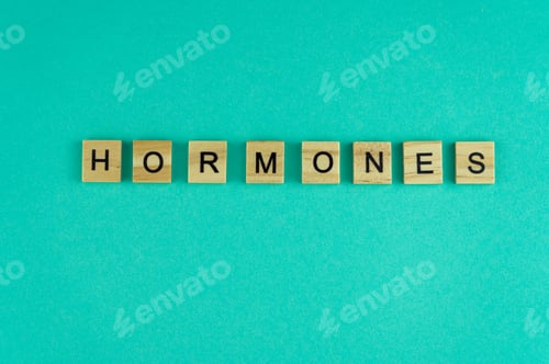 Preview: Word hormones. The phrase is laid out in wooden letters. Top view. Blue background.