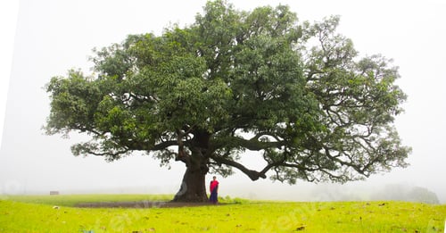 Preview: Happy Indian woman in fog and enjoying nature.