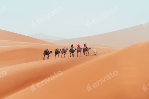 Preview: Camel trek with tourists through the sahara desert in Merzouga, Morocco