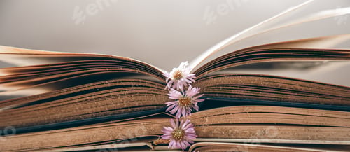 Preview: Open old books stacked, close-up on blurred background.