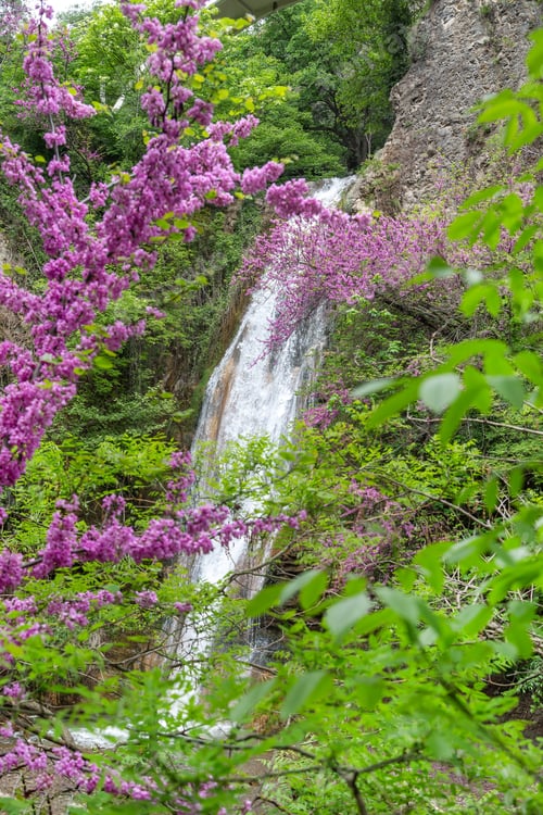 Preview: Enchanting waterfall during spring time in Tbilisi, Georgia
