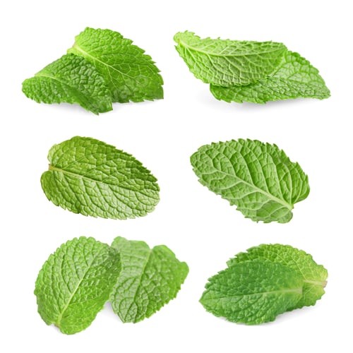 Preview: Fresh mint leaves isolated on white, set