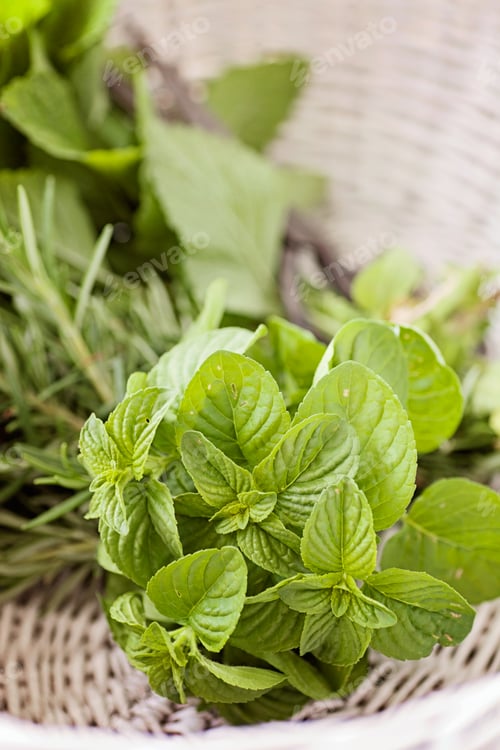 Preview: Herbs