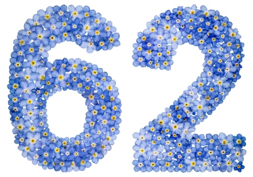 Preview: Arabic numeral 62, sixty two, from blue forget-me-not flowers
