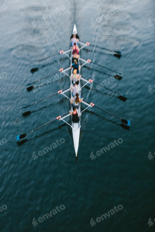 Preview: Female crew racers rowing, high angle view, Lake Union, Seattle, Washington, USA.