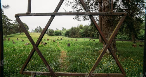 Preview: David star on door entrance to jewish grave, Old ancient Jewish cemetery in summer spring day. Druya