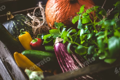 Preview: Vegetables