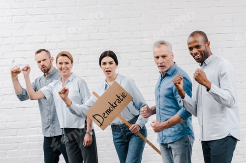 Preview: group of multicultural people standing near woman holding placard with demokratie lettering