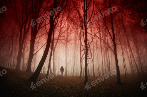 Preview: man in dark forest, horror landscape