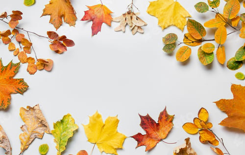 Preview: Autumn border with falled colorful leaves on gray.