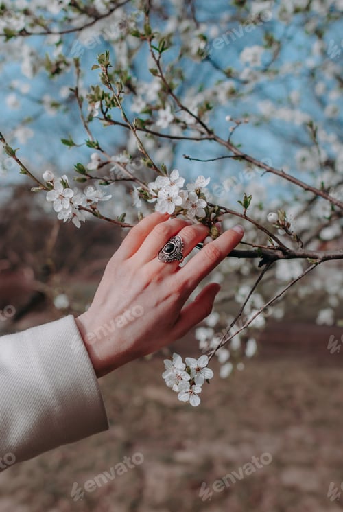 Preview: hand girl on spring tree