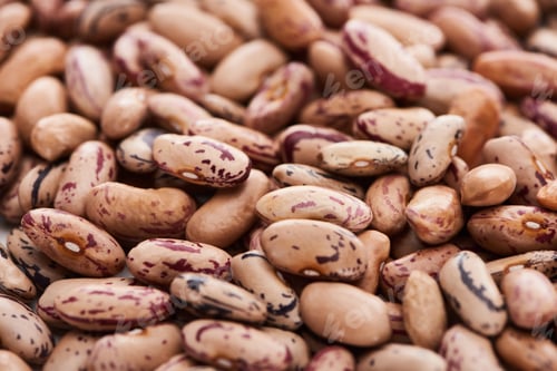 Preview: close up view of unprocessed pinto beans