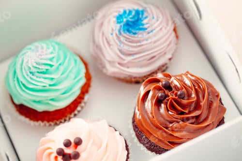 Preview: Delicious Decorated Cupcakes in a Box for Dessert