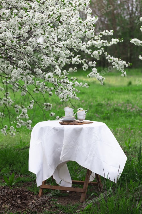 Preview: breakfast in the spring garden