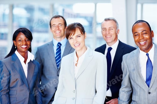 Preview: Diverse group of executives smiling