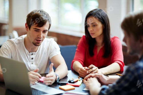Preview: Web designers