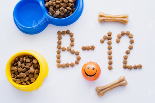 Preview: top view of word made of dry pet food near bone shaped treats and bowls on white