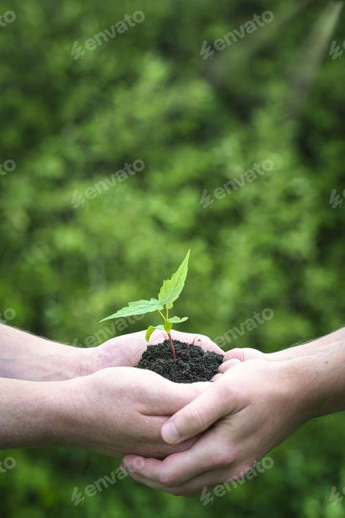 Preview: Save the nature for the future